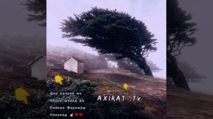 Хочи Мирзо 🌺Ғазал эй банда ту сахт бебафойи 🌺 2020