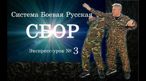 Экспресс-урок № 3 по Системе СБОР.