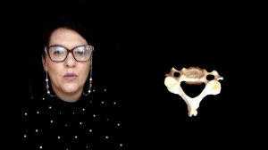 Отличительные особенности шейных позвонков