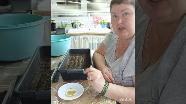 5 важных деталей посева лобелии от А до Я!
