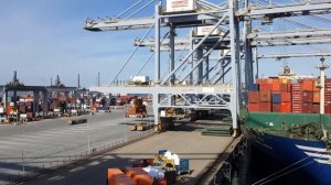 Обзор морского контейнерного терминала RWG порт Роттердам