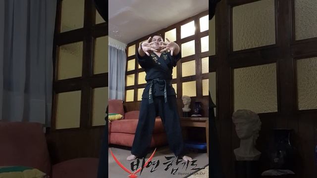 Respiraciones Tao de Hapkido смотреть онлайн