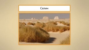 Пустыни. Видеоурок по окружающему миру 4  класс