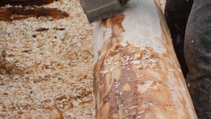 Обработка (острожка) бревна рубанком для сруба