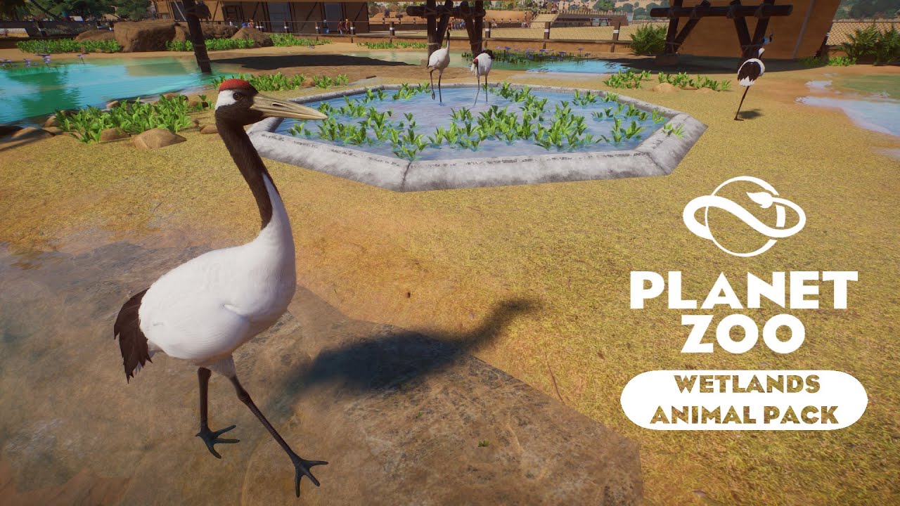 Planet Zoo Wetlands - Журавли