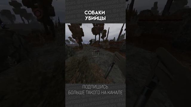 СОБАКИ ЧУТЬ НЕ УБИЛИ МОЕГО ДРУГА / STALCRAFT / МОНТАЖ #shorts #alesantossops #приколы #смешно