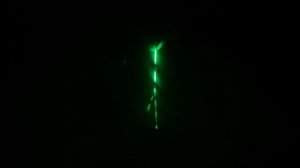 Без названия