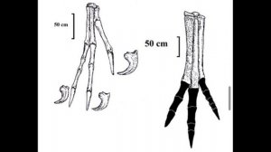 ОВИРАПТОР - Разоритель гнёзд | OVIRAPTOR