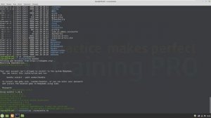 ? Как пользоваться Norminette школы программирования 21 (42 School) из дома в Linux Mint или Ubuntu