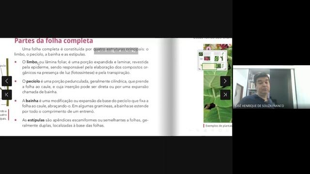 FOLHAS смотреть онлайн