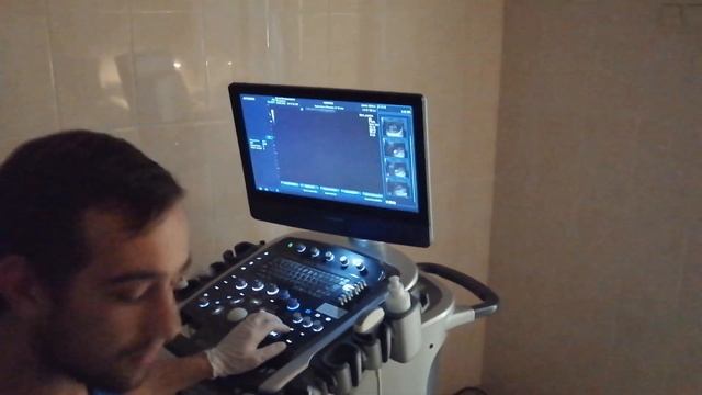 узи собаке при беременности смотреть онлайн