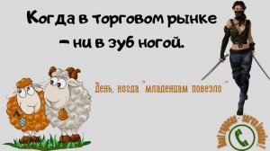 Когда эксперт понимает в рынке как поросёнок в апельсинах (Автор - Ольга Борисовна)