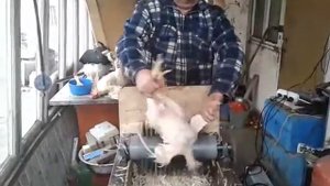 Перосъемная машина своими руками от Михалыча