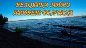 БЕЛОЯРКА МИМО. ПРИВЕТ ВОЛЧИХА. КАРАСЬ НА ВОЛЧИХЕ. ФИДЕР