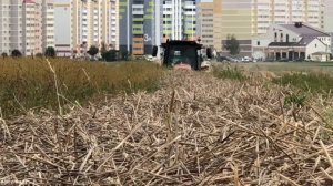 Прессование соломы / БЕЛАРУС 1822.3 /