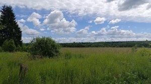 Природа поле с облаками Full HD.