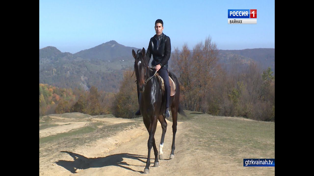салман автаев. дай баьхна ламанаш. даймохк стихи на чеченском. чеченский рисунок даймохк. дай баьхна латта.