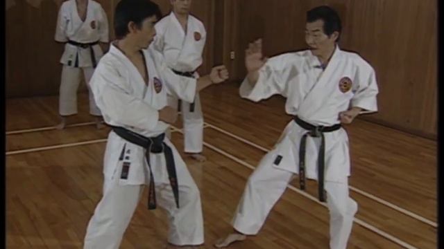 Дзёсинмон Сёрин-рю каратэ-до. Ваншу но ката и бункай. смотреть онлайн