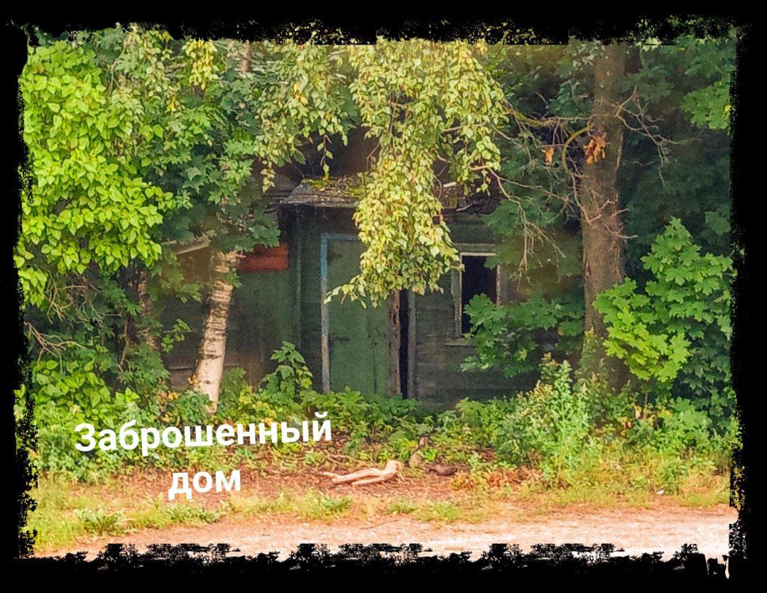Нашли заброшеный дом.   #1