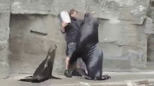 Очень смешной морж смотреть онлайн