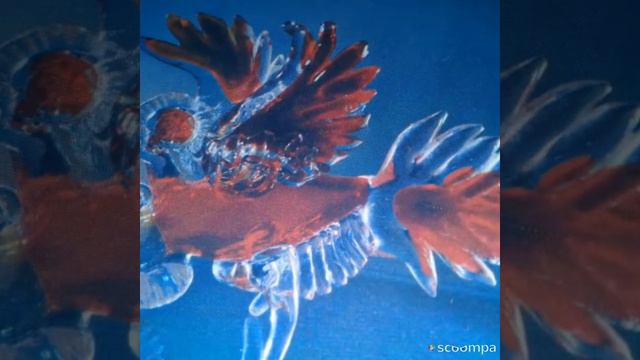 Статуэтка"Птицы"(СССР,ГУСЕВСКИЙ хрустальный завод,худ.В.Муратов)! смотреть онлайн