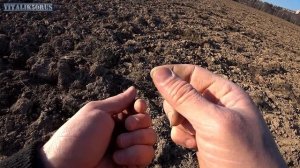 Поиск монет с #equinox 600 Распашка с серебром. Find coins with #equinox 600 Silver plowing