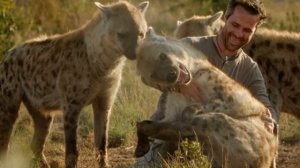 Какие животные могут съесть ЛЬВА?