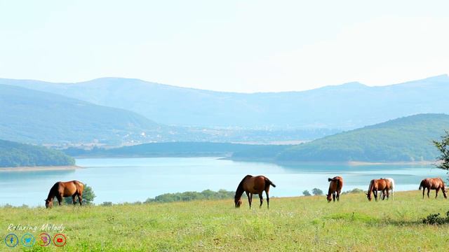 Музыка для Утреннего Пробуждения и Поднятия Настроения: Хорошая Музыка для Души и Бодрости Духа