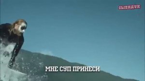 ПОСЛЫШАЛОСЬ ПРЕМИУМ (Все выпуски без рекламы и заставок)