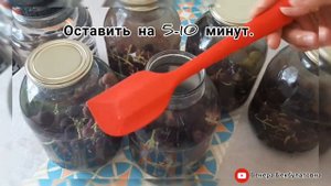 как приготовить виноградный сок. Виноградный сок на зиму в домашних условия. Венера Бекбулатовна