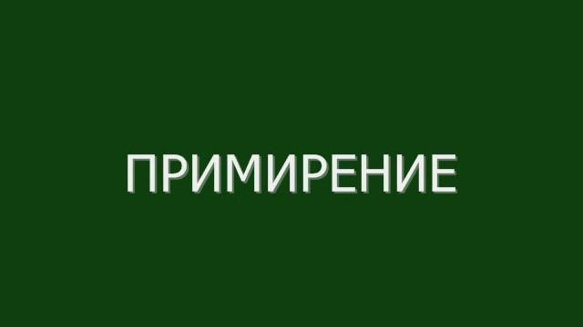 Ролик к книге Весьегонская волчица