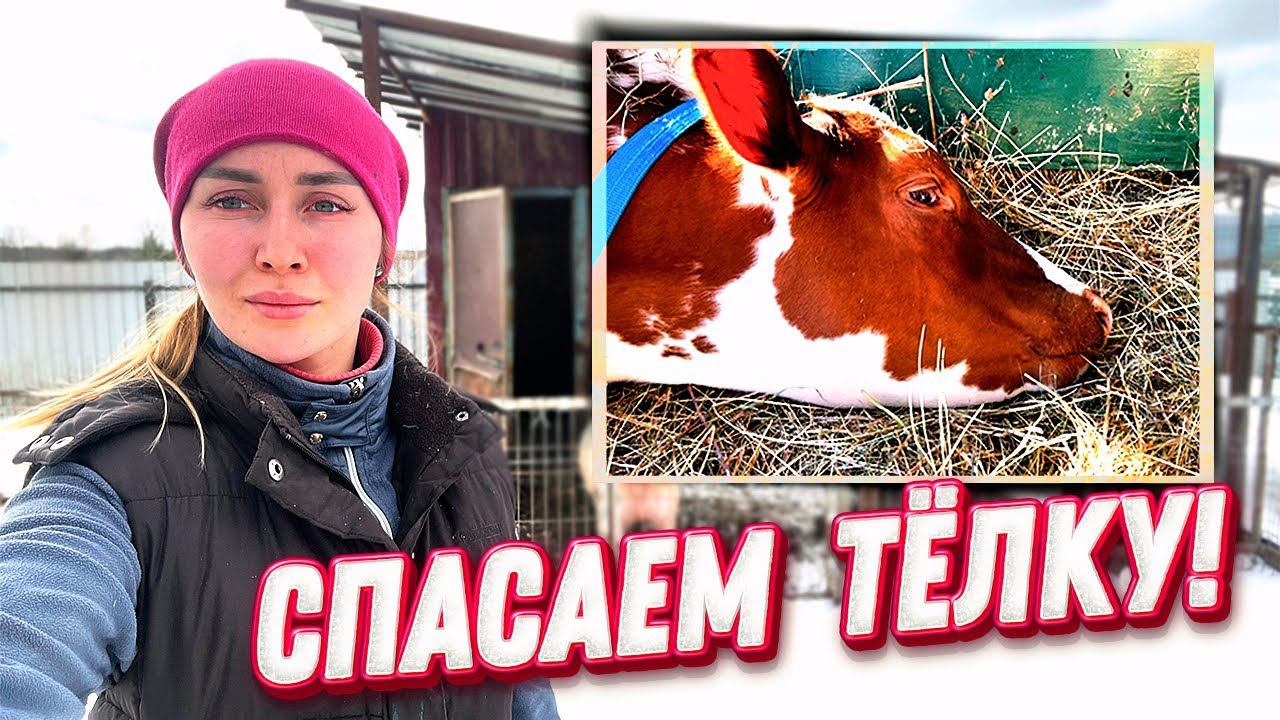 Приезд Ветеринара и Наши Планы на Весну | Молодая Ферма
