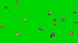 футаж бабочки - скачать футаж для монтажа на зелёном фоне