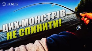 Монстри судаки рвуть снасті: Ловля трофейного судака на Дніпрі