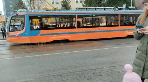 Рыжик!!! Трамвай 32 на Семёновской///16 февраля 2023