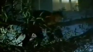 «Шиш на кокуй!», реж. И.Пушкарев, 1993 г.