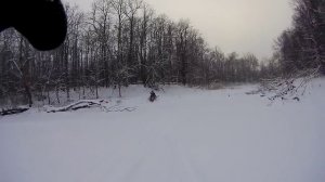 Снегоход WIND 320