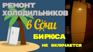 Ремонт холодильника Бирюса не включается.