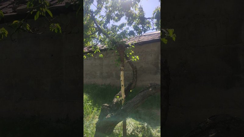 готовимся к огородным работам