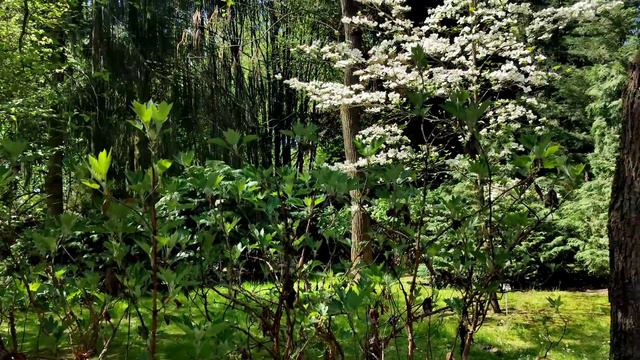 Выписали из больницы 🥳 Мама нашла своё счастье 😍 Ботанический сад в Люблине смотреть онлайн