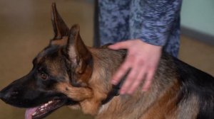 «Наши»_ Дмитрий Ремнев