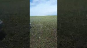 Легендарный певец Венер Абдуллин