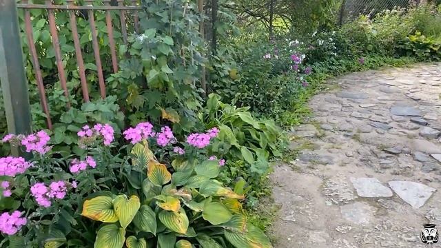 ВЕЛИКИЙ НОВГОРОД. Что посмотреть за 1 день? Обзор достопримечательностей смотреть онлайн