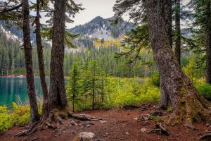 Коп в горах, коп в лесах Варваровки, Анапа, черное море