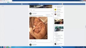 Где и как посмотреть закладки в Вконтакте (ВК)