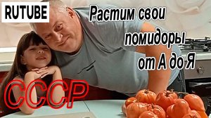 ВЫРАЩИВАЕМ ПОМИДОРЫ ОТ А ДО Я