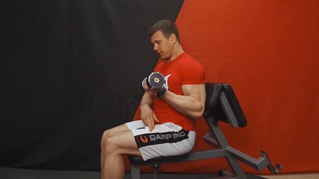 Подъем гантелей с поворотами I Упершись спиной в лавку Скотта смотреть онлайн