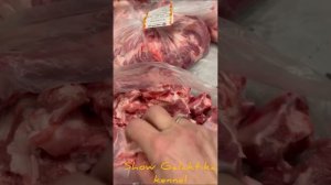Какие кости можно собакам. Сильные челюсти, здоровые зубы.