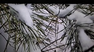 6 января Рождественский Сочельник.Что нельзя делать...