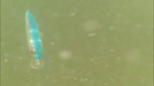 Подводные съемки. Поиск хищника. Подводная видеокамера